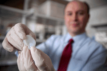Image: Larry Bonassar, Associate Professor of Mechanical Engineering, holds a fabricated ear printed with a 3D printer in his lab at Cornell University's Weill Hall (Photo courtesy of Lindsay France/Cornell University Photography).
